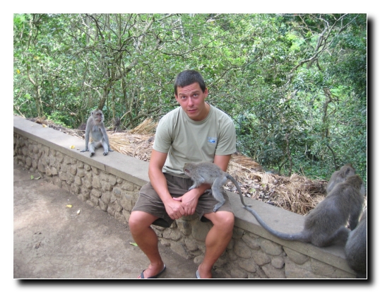 19 Gabor und seine Freunde